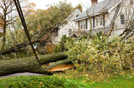 Storm damage restoration in Lockhart by Flood Pros USA